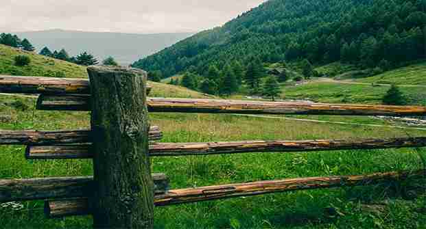 Hansen Land Brokers - The Fencing Act