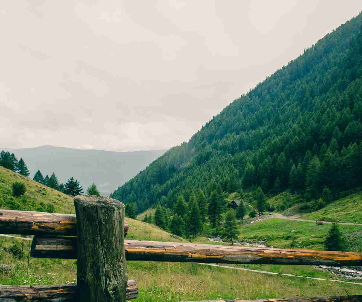 Hansen Land Brokers - The Fencing Act