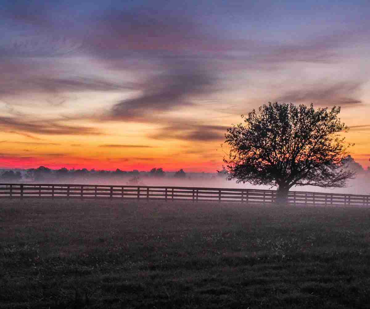 Hansen Land Brokers - The Fencing Act