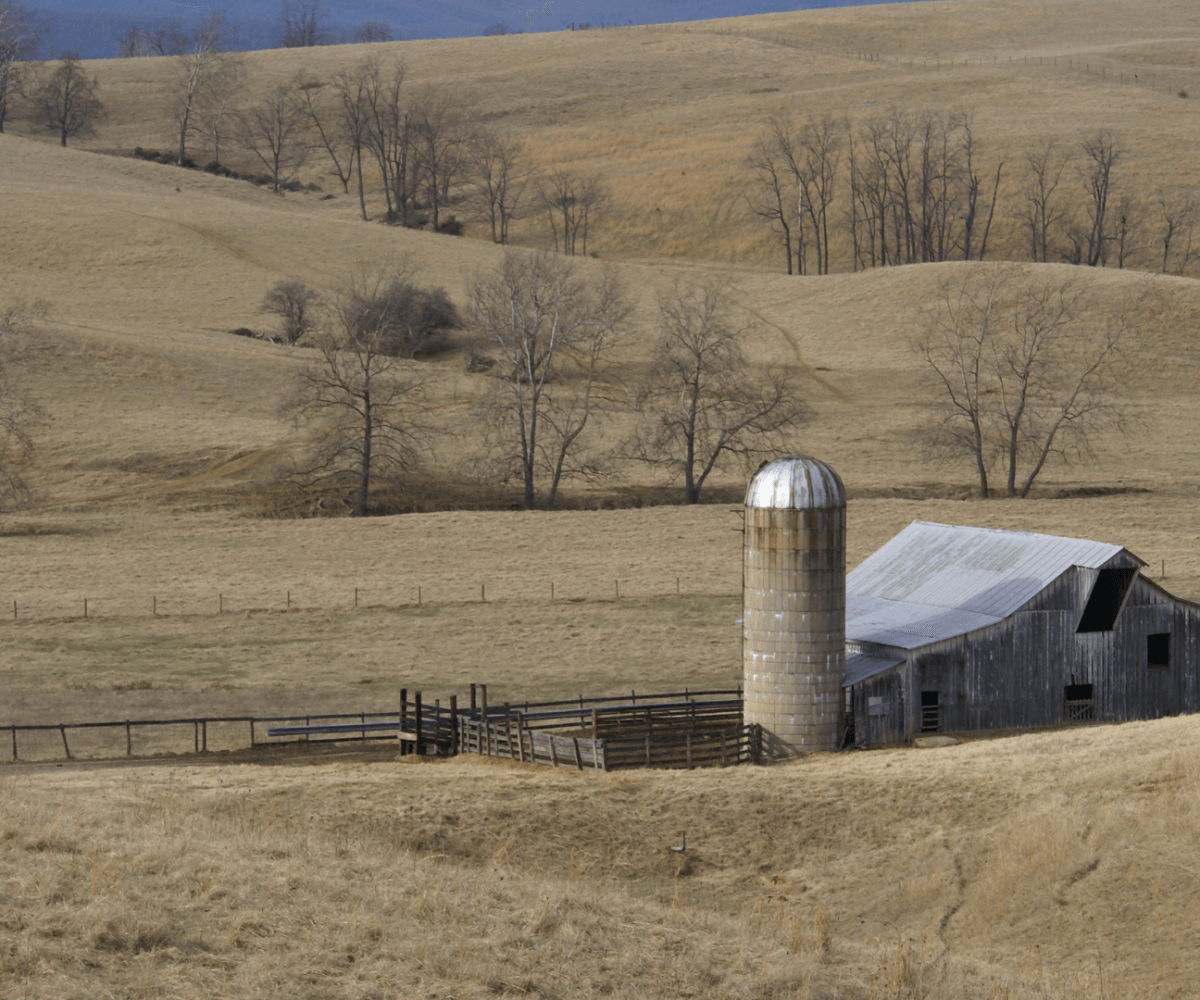 A farm waiting for the first snow of winter. This is the perfect time to plan your winter biodiversity enhancement plan.