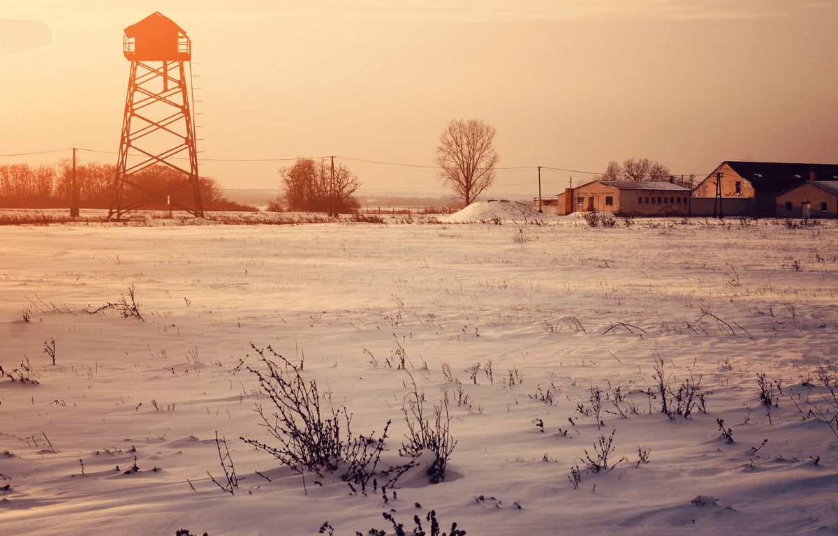 A farm with a proper winter biodiversity management is a vibrant land for all!