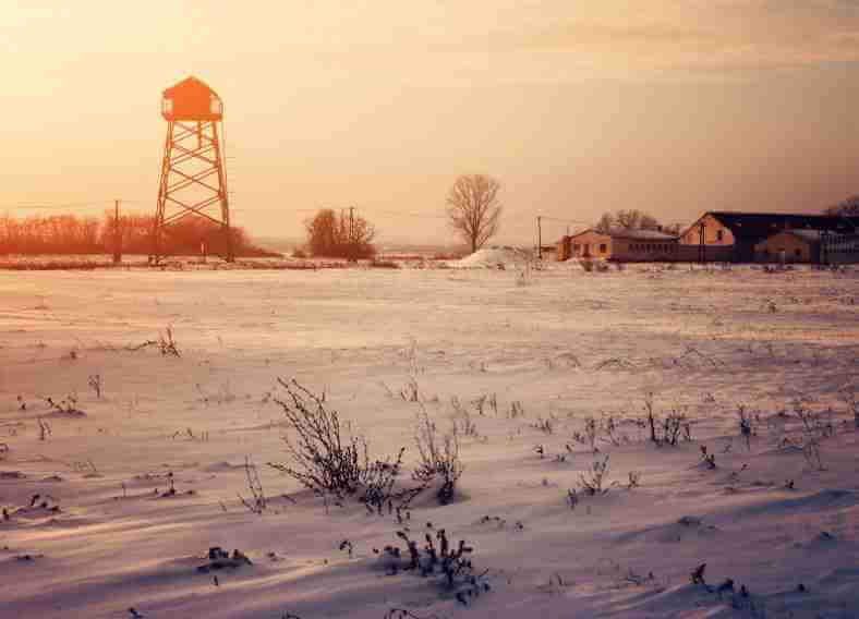 A farm with a proper winter biodiversity management is a vibrant land for all!