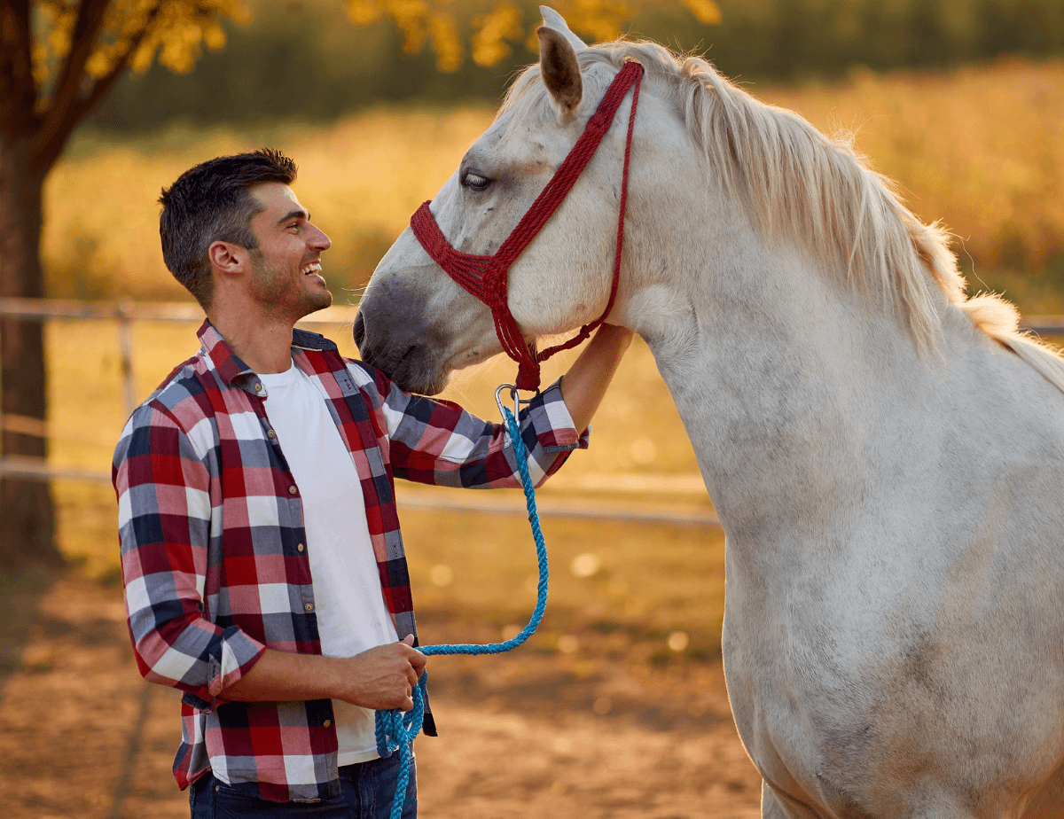 A young man in checkered shirt holding a white horse.
