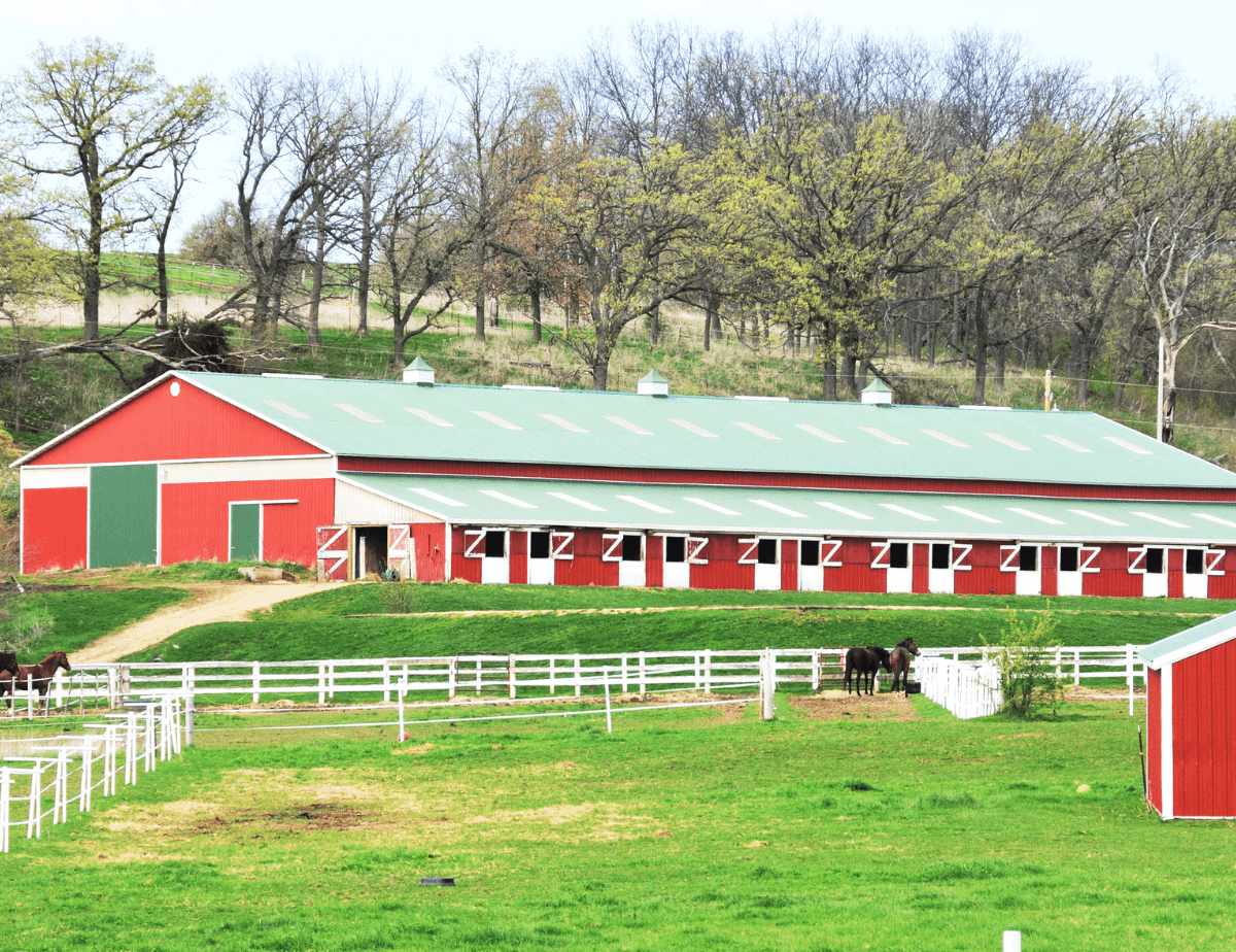 Huge fenced horse barn on lush fields.