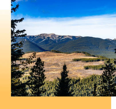 Invest, Explore, Thrive In Clearwater County