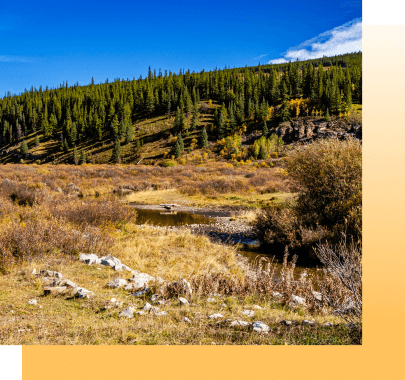 Leveraging Clearwater County's Appeal photo