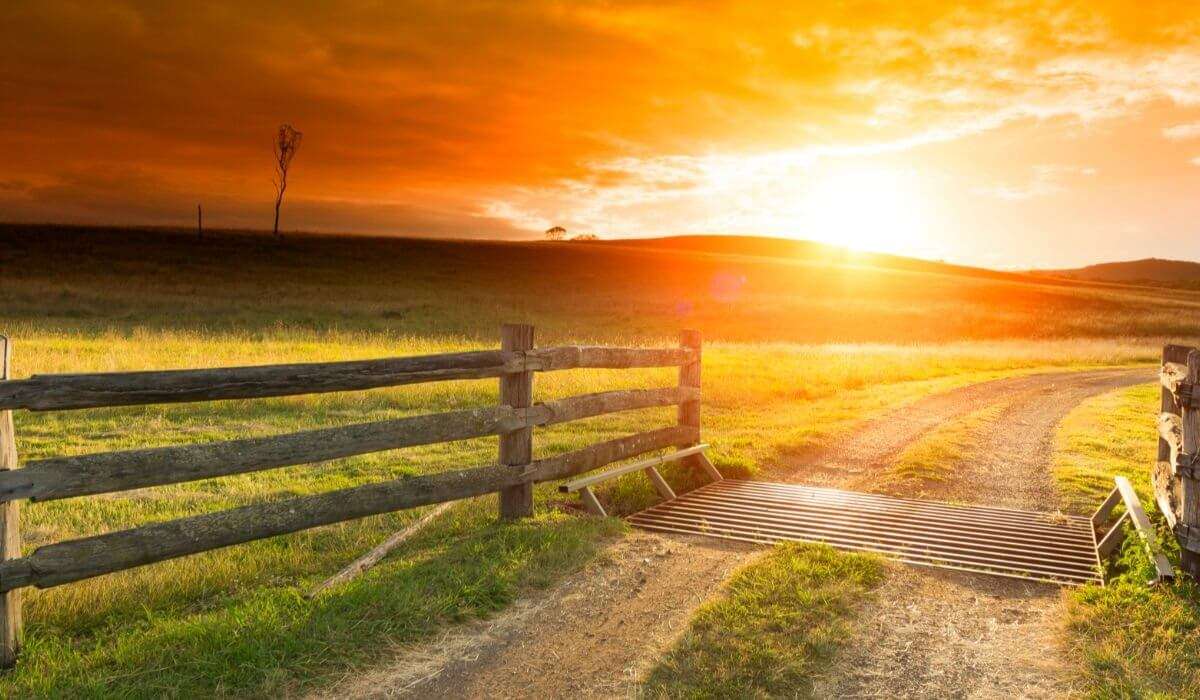 A beautiful sunset over a rural Alberta farm with a dirt path, wooden fences, and rolling hills in the background.