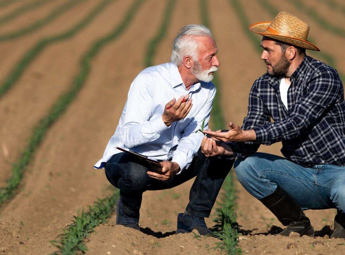 Two men kneel in a vast field, engaged in a discussion about Alberta farmland values and acreage land for sale, examining young crops.
